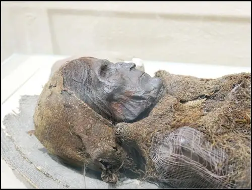 s视野新疆古干尸逝者越千年