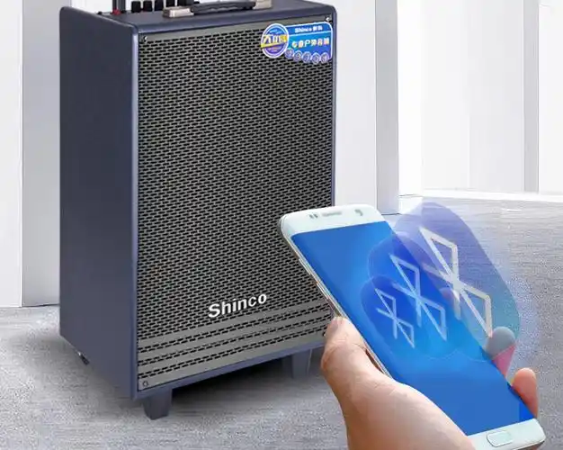 新科(shinco) 广场舞音响声卡直播木质三分频音箱带无线话筒唱歌移动