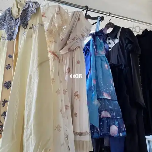 衣柜里尘封的裙裙