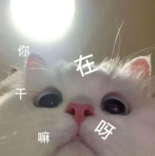 沙雕表情包笑死但没完全死