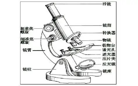 普通光学显微镜结构图普通光学显微镜结构图片2022已更新今日推荐