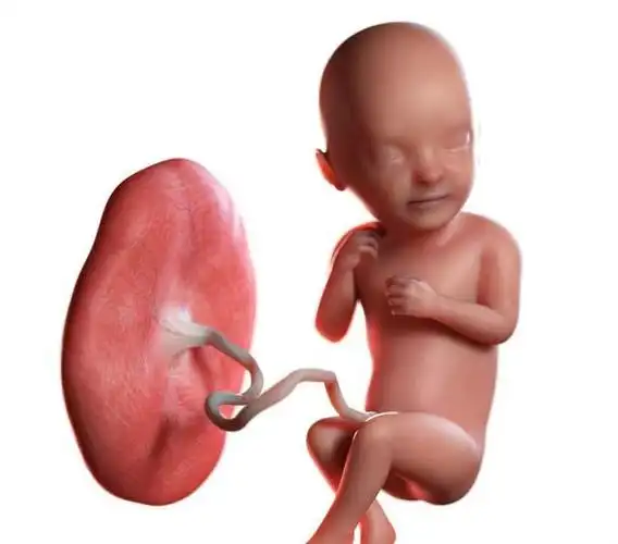 孕妈都担心胎相好不好那胎盘位于前壁好还是后壁好