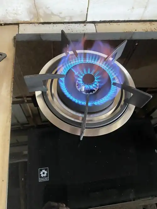 樱花(sakura)台嵌两用燃气灶gbz02煤气灶台灶具 4.