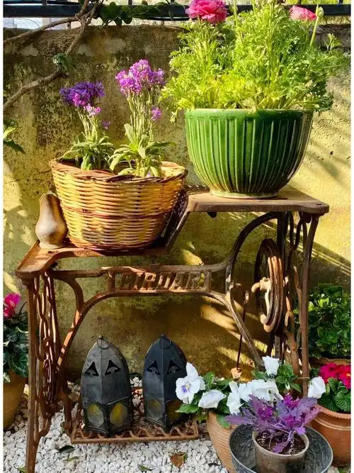 废物利用  #废物改造  #花园设计  #花园设计与改造  #花园改造