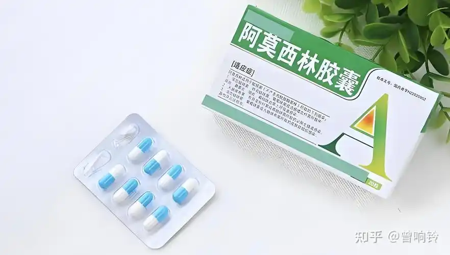 医生说暂时不算很严重,给开了阿莫西林,让我到外边药店自己去买药.