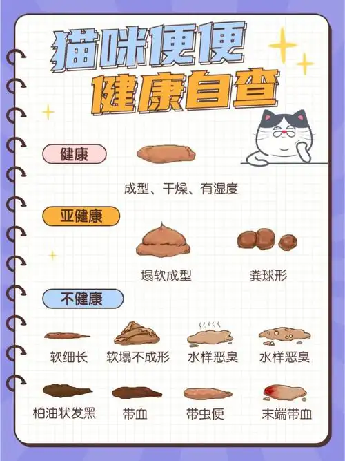新手养猫猫咪便便健康自查表75