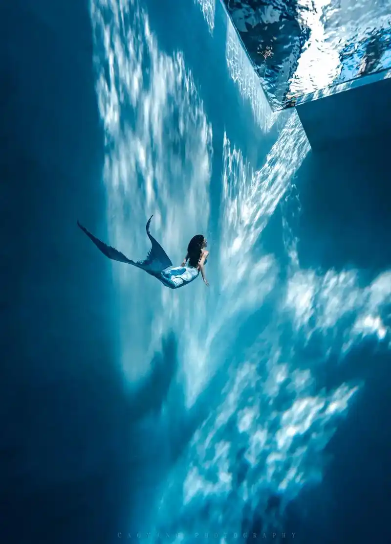 大连美人鱼.#潜水女孩 #美人鱼 #水下摄影 - 抖音