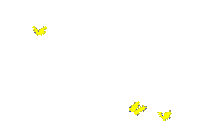 【转载】【精典免抠gif动态蝴蝶素材图】