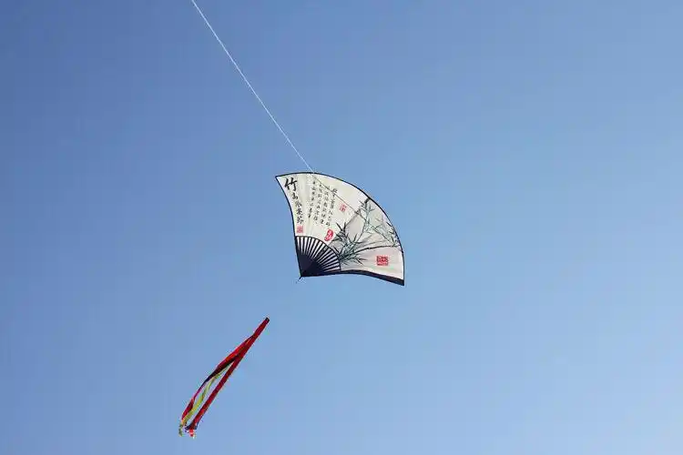 【品质好货】风筝大型成人2019新款追风者梅花扇子风筝成人儿童卡通中