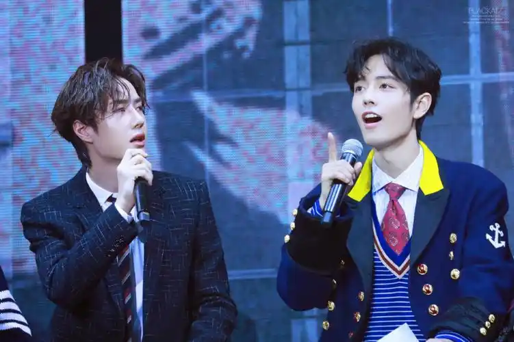 11.陈情令演唱会忘羡.王一博.肖战