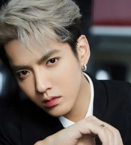 吴亦凡又大又圆是什么梗,是哪个节目上出来的?