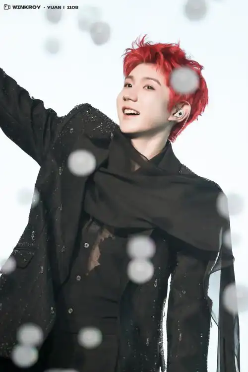 王源客厅狂欢巡演