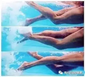 铁三自由泳如何打腿不同水平采用打腿方式不同