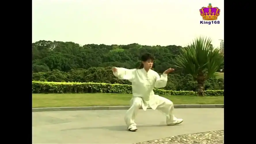 马畅~陈氏太极拳国家标准56式竞赛套路教学_哔哩哔哩_bilibili