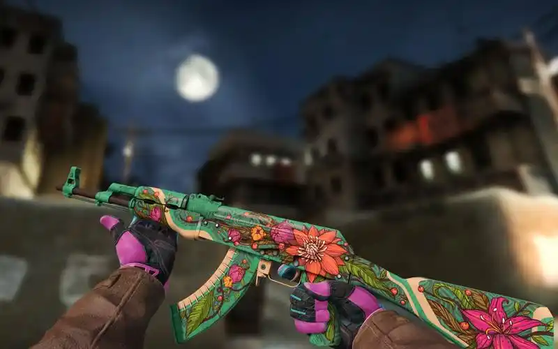 【csgo】野荷 10打0