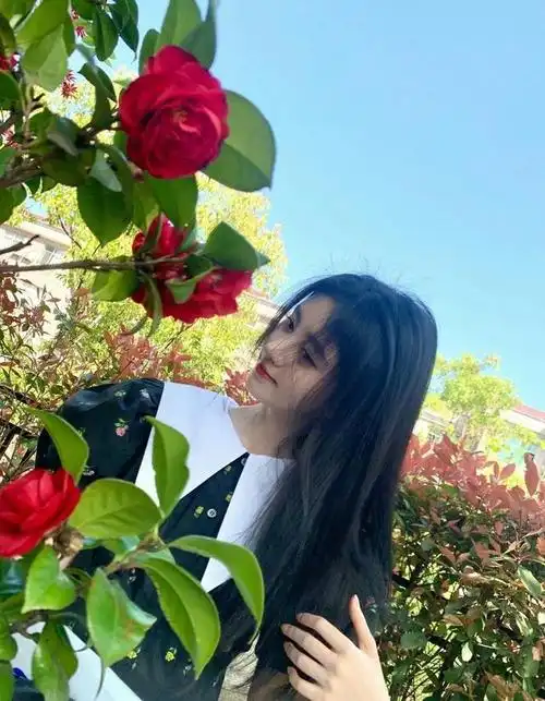 240219鞠婧祎如玫瑰般绽放粉丝热情赞美不断