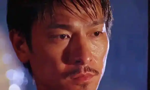 刘德华多年来票房最辉煌的一年,其中《阿虎》中的演技可以封神