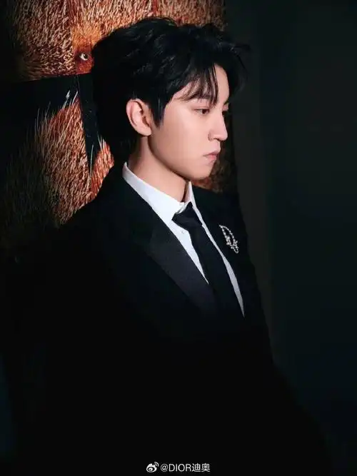 迪奥品牌大使王俊凯##迪奥星光