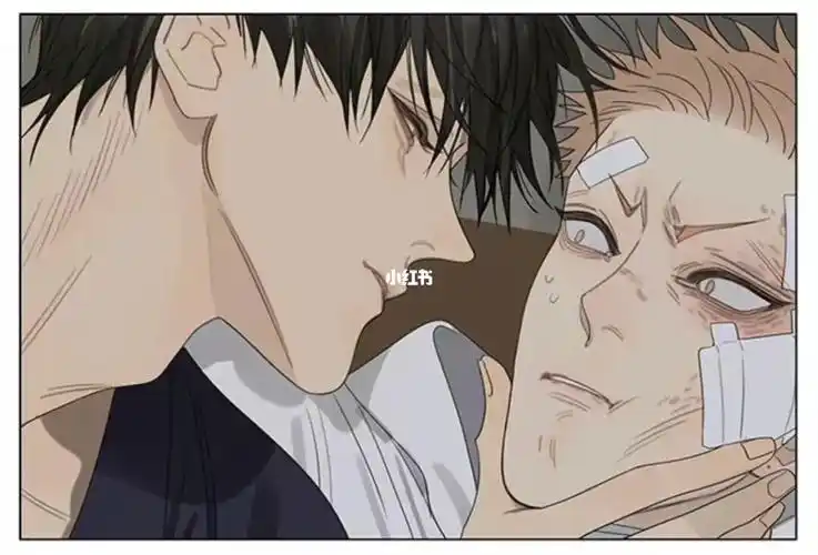 19天  #贺天 #莫关山  #贺顶红