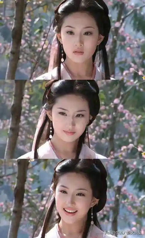 胡军,林志颖,高虎,刘亦菲,陈好,刘涛主演的古装武侠剧.