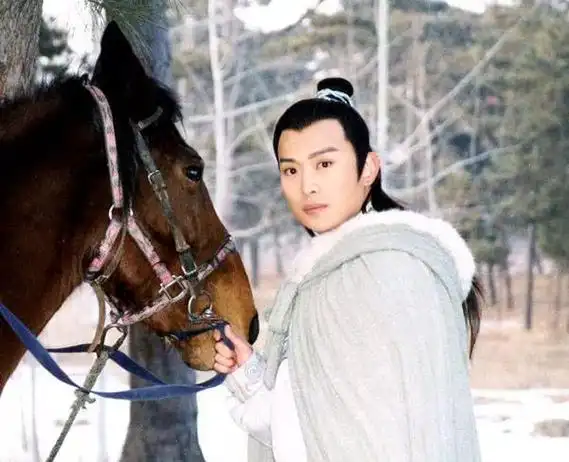 黄海冰古装沈浪(曾三拒琼瑶演遍武侠剧)(12)