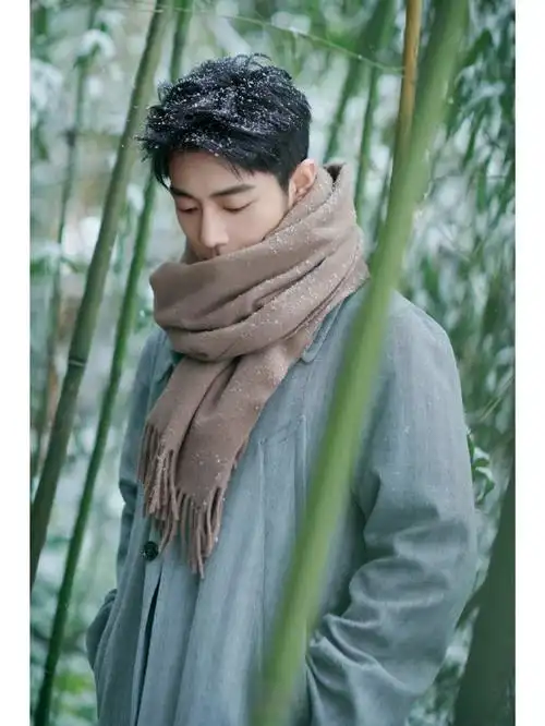 肖战冬日竹林大片