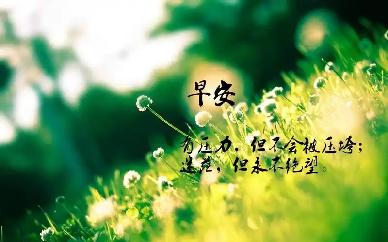 早安一句话心灵感悟唯美心情说说