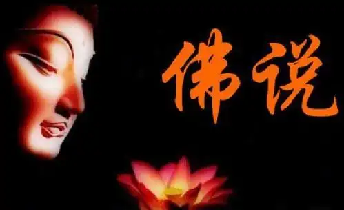 如果随意的去杀生,不但是对生命的不尊重,也会给自身带来很大的罪业