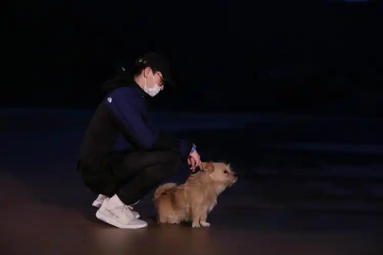 许魏洲《让生活好看》独自海边旅行 模仿giao哥反差萌