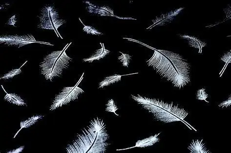 一地鸡毛秦秦/2018.