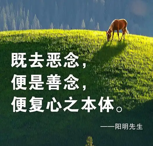 2021314fz反省凡事从自己身上找原因深刻反省是净化心灵的关键