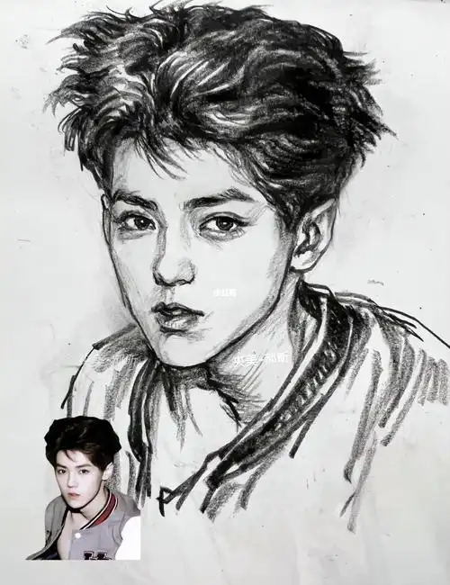 04一只小鹿速写画鹿晗