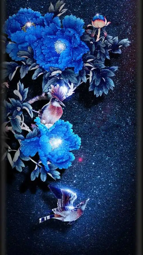 660_1173竖版 竖屏