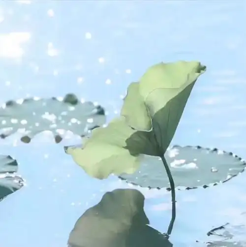 张艺兴吴亦凡铁窗中相遇?网友笑吐:人生何处不相逢哈哈哈哈