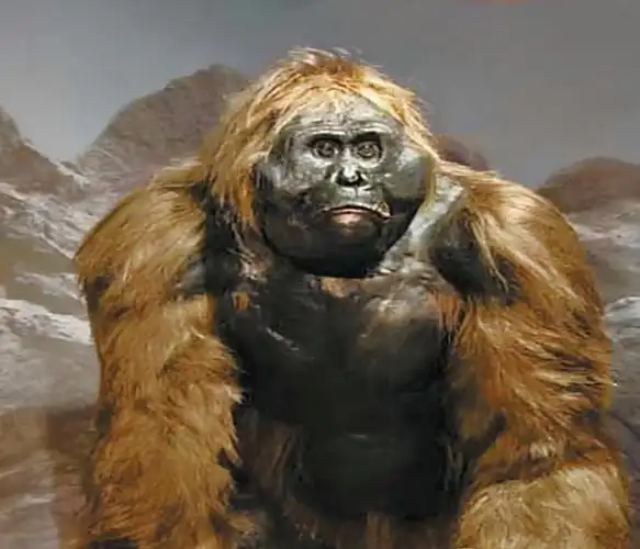 考察员发现野人老巢_老裴