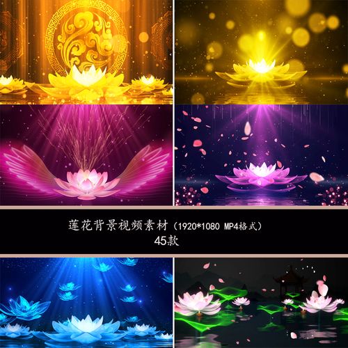 唯美蓝色莲花金色莲花舞台背景莲花唯美背景视频莲花背景视频素材