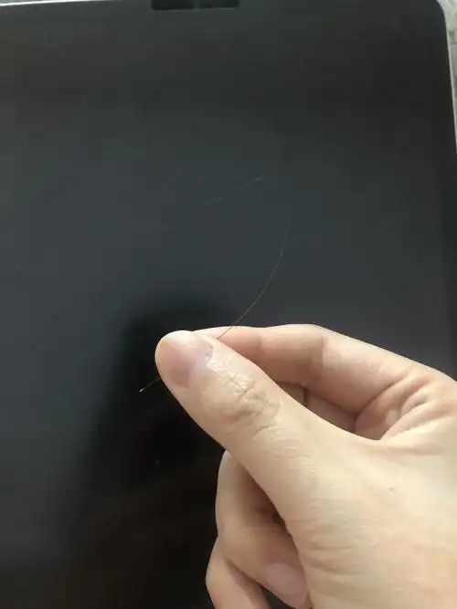 爱肯拿里有一根特别长的动物毛