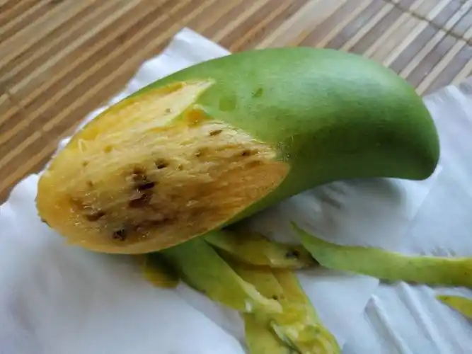 这芒果是坏了还是被果蝇咬过里面有虫子了?