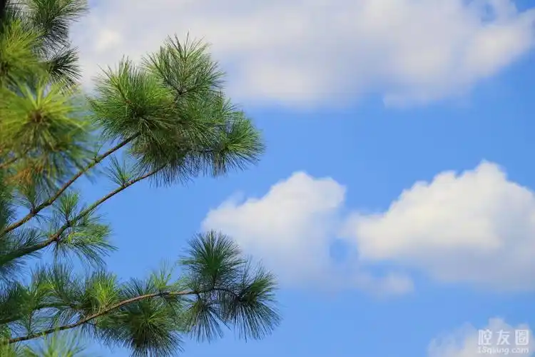 稠江公园的一个晴天