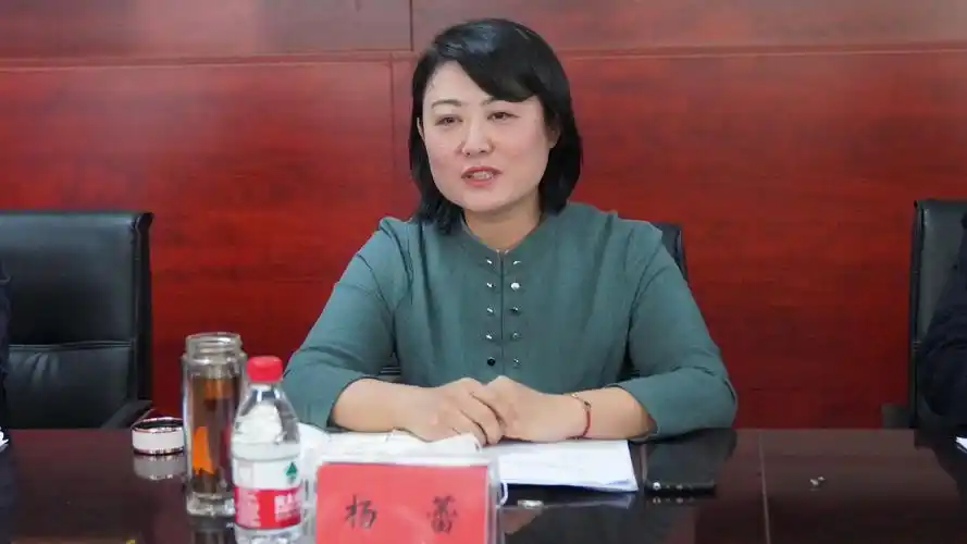 邢台市任泽区委书记杨蕾