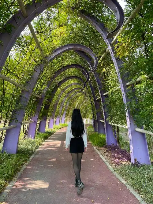 欧大力 的想法: 不知不觉长发及腰, 成了一名背影杀手 #… - 知乎