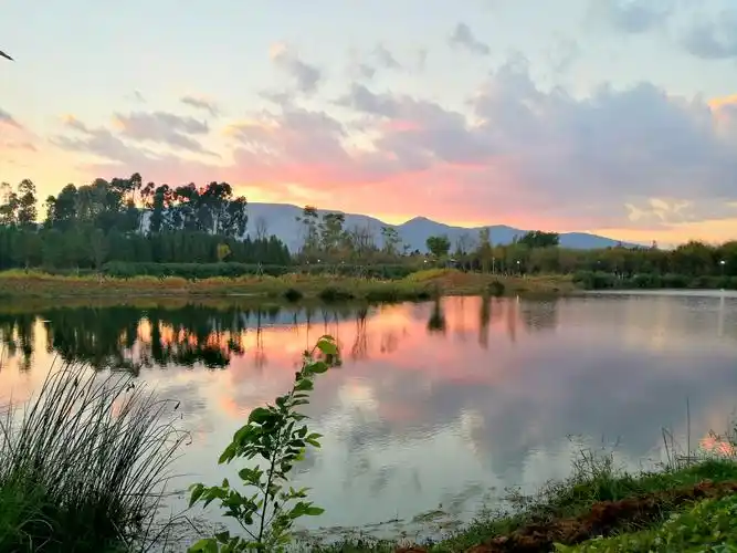 水杉林里划船,滇池湖畔欣赏睡美人,海洪湿地风景真美!