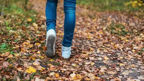 一个男人停止行走.女孩的女朋友.在公园里的黄色树叶间性质的辣妹.