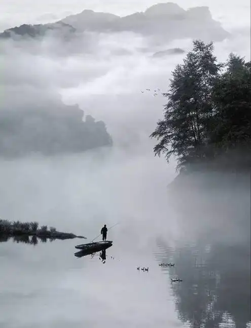 我们总是容易被沧桑的图片打动,然后更加惊叹于生命的奇妙.