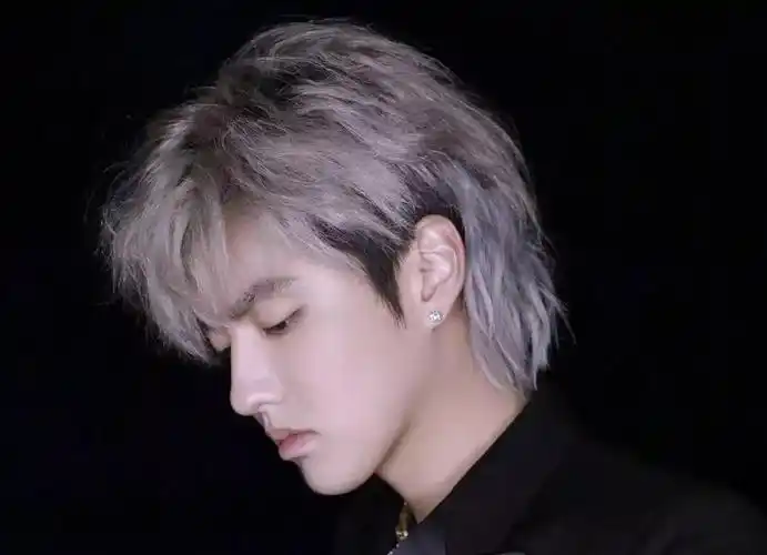 吴亦凡华晨宇易烊千玺被众多男明星们宠爱的mullet造型可以重新让我们