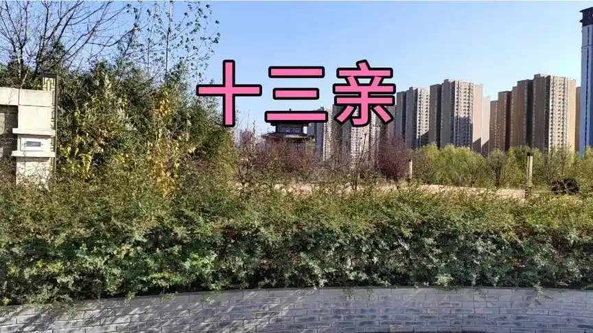 一首《十三亲》句句大实话,到底谁亲谁不亲,一听便知!