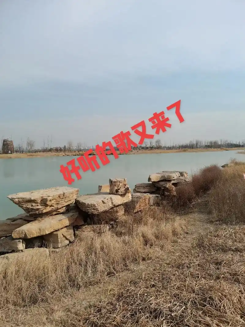 步骤:1,拍同款,2,点3分钟,3,点相册,4,左下角点多选 - 抖音