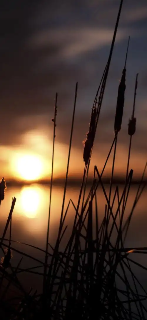 首页 自然与风景 日落和日出