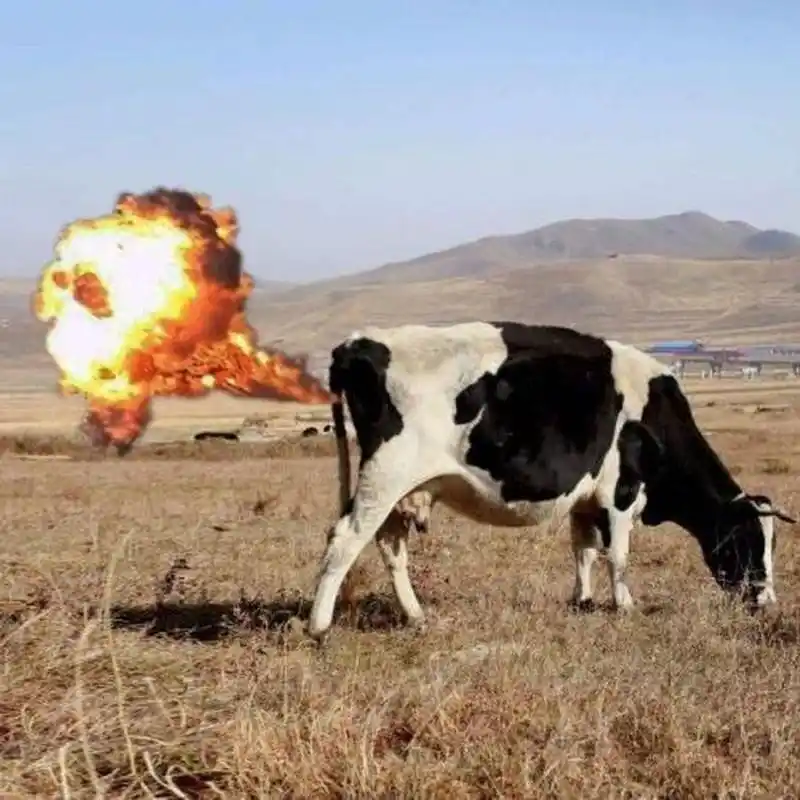 听起来似乎是一个很不严肃的话题, 但这些年来,关于奶牛放屁的