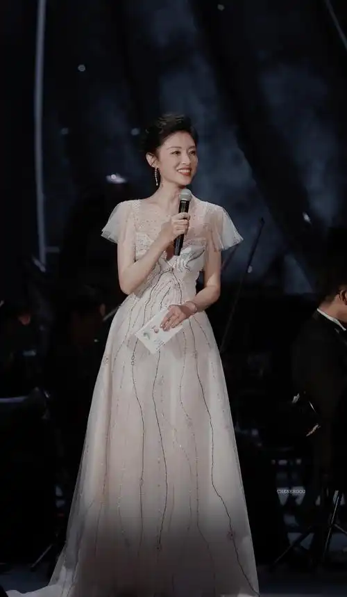 主持人服装女款图片(央视最美女主持) - 赤虎壹号